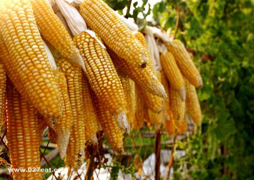 θ���ܳ������� �ܹ��ٽ���ϸ������ www.027eat.com