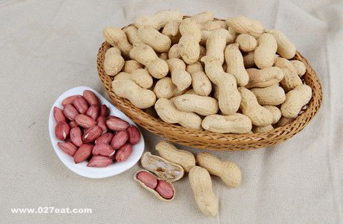 Ӫ��ר���Ƽ� �Ի����ݵÿ� www.027eat.com