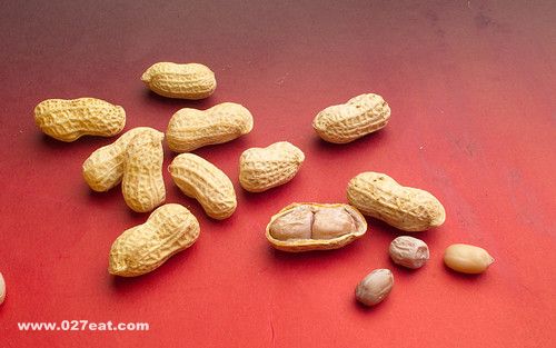 Ӫ��ר���Ƽ� �Ի����ݵÿ� www.027eat.com