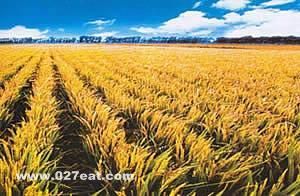 ������ԭ���ر������ www.027eat.com