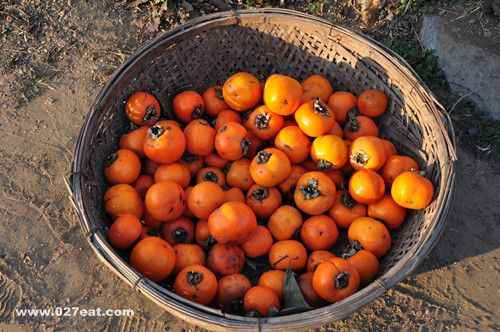 ���������ӵ����� �ĸ�Ӫ����ֵ�� www.027eat.com