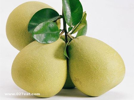 �и�������ӿɲ���Ҷ�� www.027eat.com