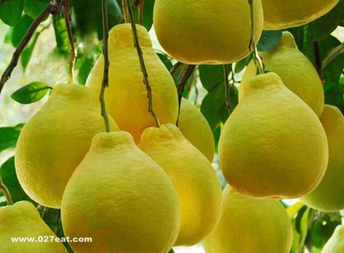 ������ô��ʤҩ��ٱ� www.027eat.com