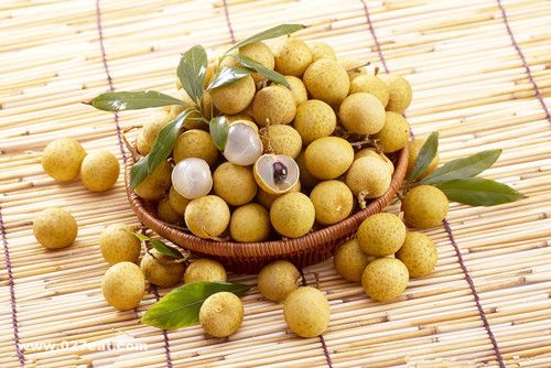 Ӧ��γԹ�Բ   ��Բ����ȷ�Է� www.027eat.com