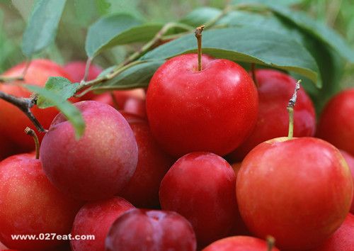 苹果不要削皮吃 苹果连皮吃的六大好处 www.027eat.com