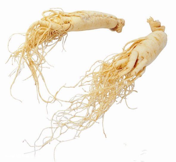 �˲εĹ�Ч������ www.027eat.com