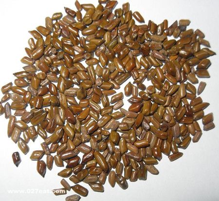 ������α�ʶ���&ldquo;������&rdquo; www.027eat.com