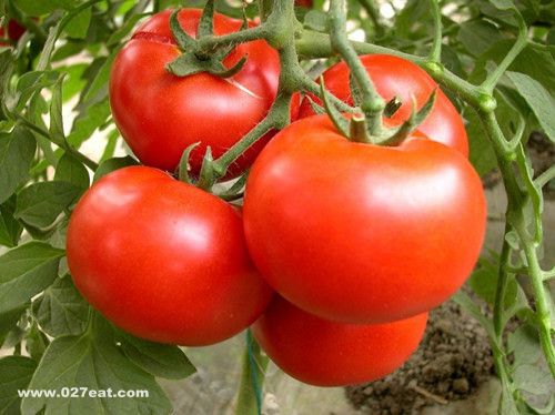 �ļ�������²��˳������� www.027eat.com