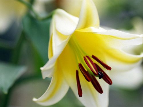 �ٺϵĳԷ���������Щ www.027eat.com