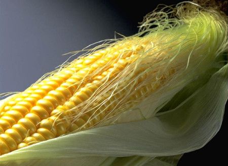 �������ʳ�������Ƽ� www.027eat.com