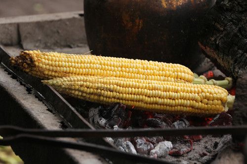 ��������7��Ч ���Խ��ԽӪ�� www.027eat.com