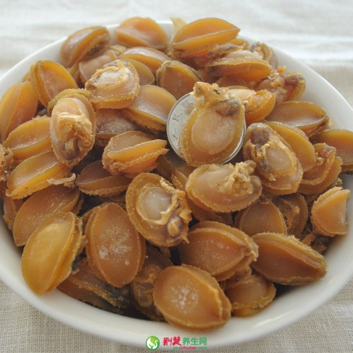 ����ɵ�Ӫ����ֵ������ www.027eat.com