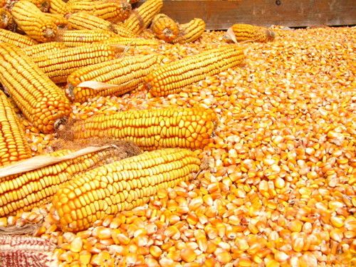 ���׾���7�����湦Ч www.027eat.com