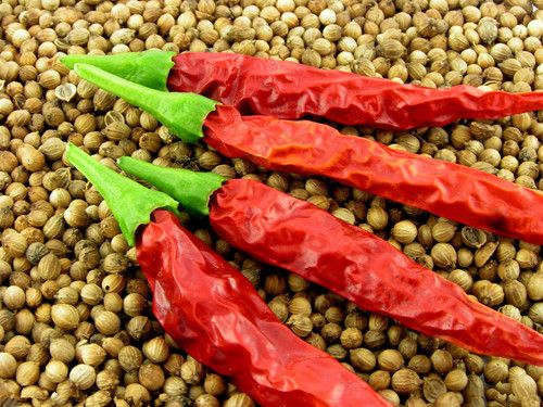 �̵�����9�󳣼�ʳ������ www.027eat.com