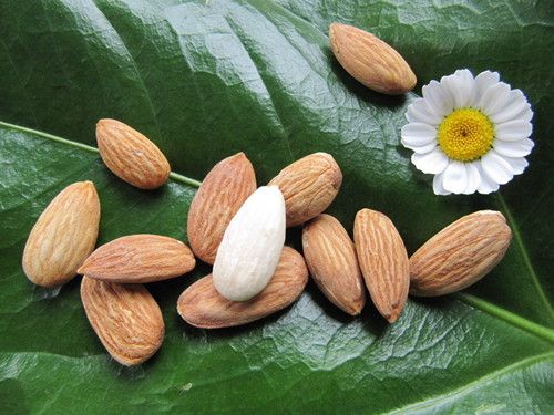 ������ζ����ҩ��Ϊ��ֹ�� www.027eat.com