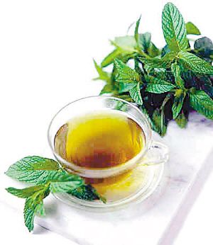 ����ļ�����į ����������� www.027eat.com