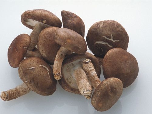 �㹽�Ĺ�Ч �����㹽��ʲô�ô� www.027eat.com