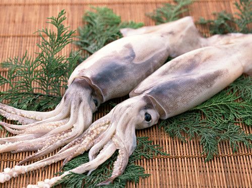 ��Щ�������ز��ʺ϶�� www.027eat.com