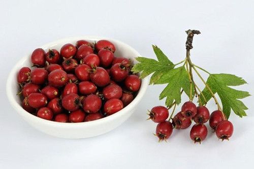 �и�Ӧ�ó�ɽ��� www.027eat.com