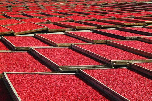 ��ʳ���� ��轵�16���̲���Ч www.027eat.com