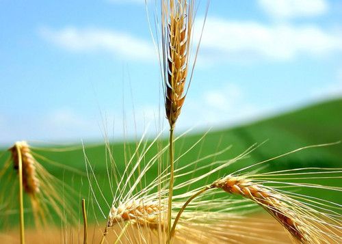 �������� ���ǽ�֬ www.027eat.com