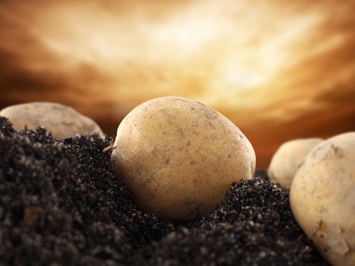 ʹ��������Ҫע��Ľ��� www.027eat.com