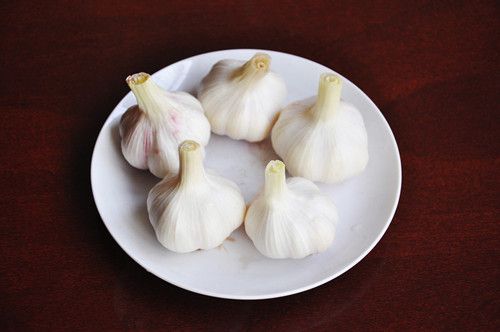 �̵�����ͽ���5�󳣼���Ч www.027eat.com