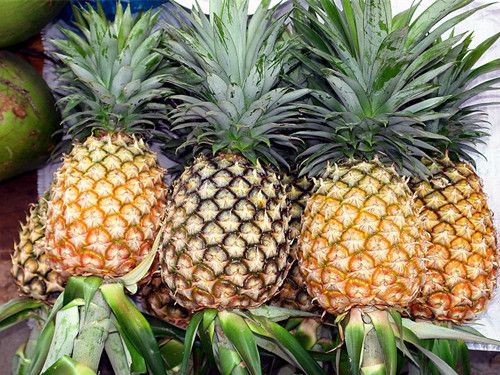 ������ʲô�õ�ʳ���ط� www.027eat.com