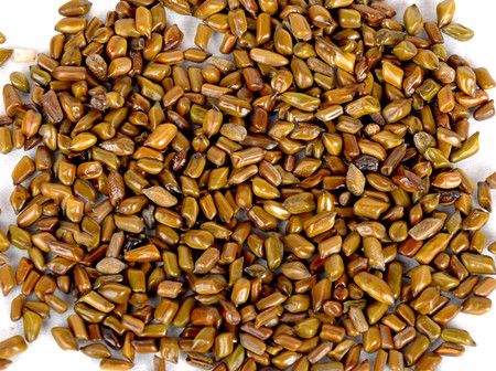 ����Ⱦ������ܼ����𣿾����Ӽ���Ч�� www.027eat.com