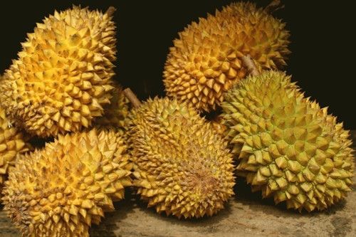 ����ʳ�� �Գ�������Ů�� www.027eat.com