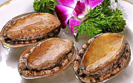 �������ϴ���� www.027eat.com