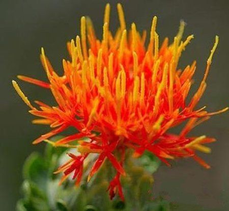 �غ컨�Ĺ�Ч������ www.027eat.com