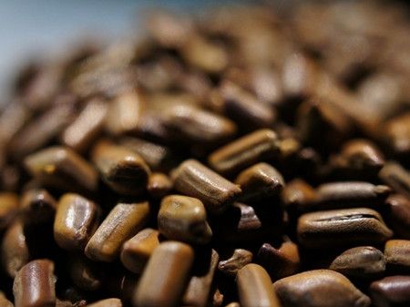 ��������ͷ���𣿾�������ͷ���ʺ���Ѫ������ www.027eat.com