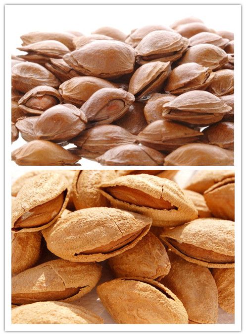 �͵�ľ�����ʵ����� www.027eat.com