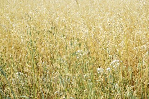 �����������������ĺô� www.027eat.com