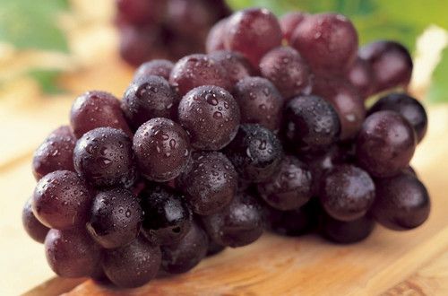 ���� �����ڲ�Ѫ������Ƣ www.027eat.com