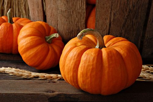 �Ϲϰ���㶨�＾���� www.027eat.com