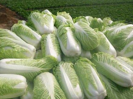 ������ײ˲��������� ����̫��ͼ�֭ www.027eat.com