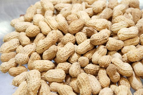 �Ի�����Ԥ������  ϸ������7��Ч www.027eat.com