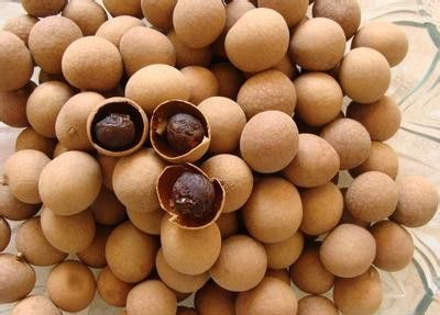 ��Բ�ĳԷ� ��Բ��ô��������Ѫ��˥�� www.027eat.com