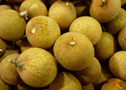 ��Բ�ĳԷ� ��Բ��ô��������Ѫ��˥�� www.027eat.com