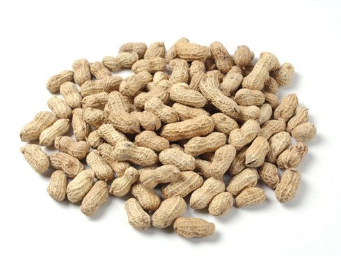 �Ի��������� ������Ӫ����ֵ www.027eat.com