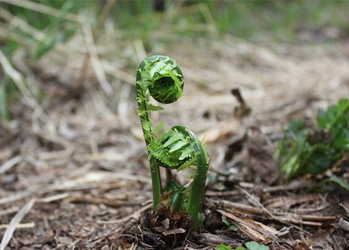 ާ�˵ĳԷ��������°� www.027eat.com