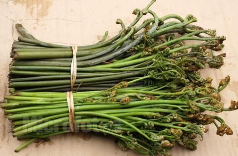 ާ�˵ĳԷ��������°� www.027eat.com