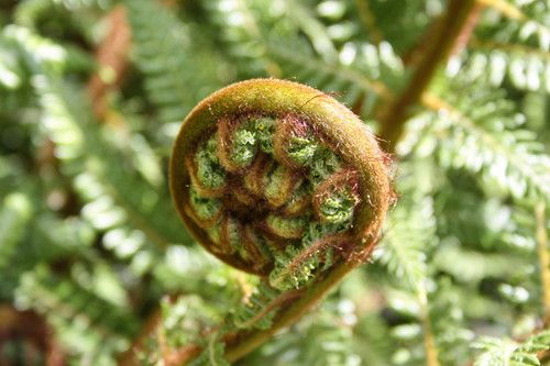 ާ�˵ĳԷ��������°� www.027eat.com