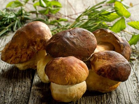 �������㹽��������ð www.027eat.com