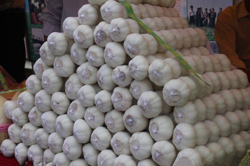 ���⹦Ч���̵� ����������彡�� www.027eat.com