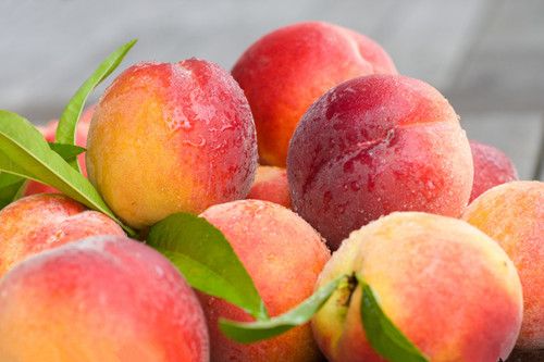 ������ϴ��ë  ��֤�ֿ��ֺ� www.027eat.com