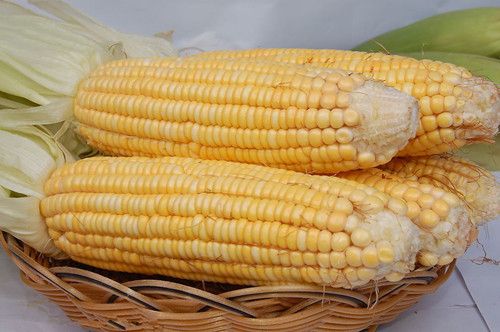 ���׽����³Է��������������֭ www.027eat.com