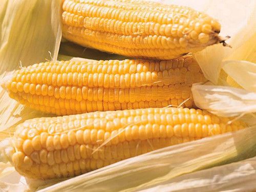 ������ˮ�׽��� ������Ĺ�Ч������ www.027eat.com